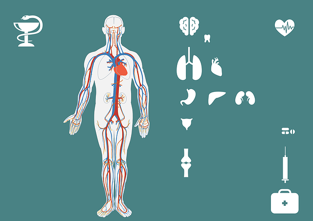 medical-1250589_640
